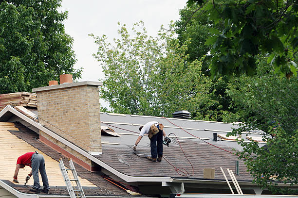 Best Roof Repair Services  in New Martinsville, WV